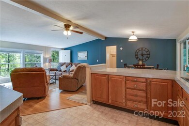 67 Sandy Hill Ln, Hendersonville, NC 28792 - photo 3