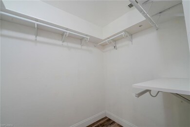 Spacious closet featuring wood finished floors