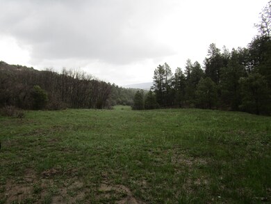 33089 Lodgepole Trace, Trinidad, CO 81082 - photo 3