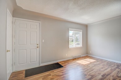 Photo-18