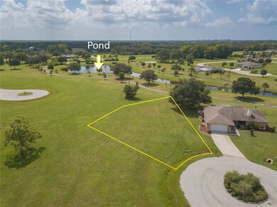 Aerial 3 with approximate parcel lines added