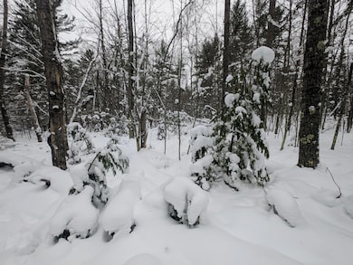 off Wooded Ln, Conover, WI 54519 - photo 6