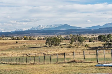 1302 44zn Rd, Norwood, CO 81423 - photo 5