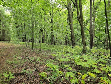 vl Lehring Rd, Durand, MI 48429 - photo 4