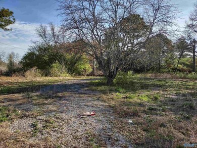 .25 acres Lemons Rd, Grant, AL 35747 - photo 2