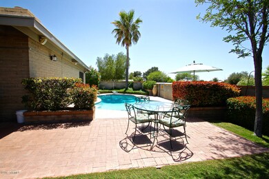 Gorgeous backyard and pool