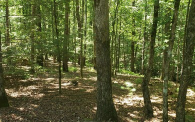Additional View