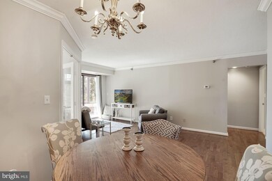 The Charleston unit 403, Arlington, VA 22201 - photo 7