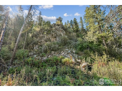 511 Riverside Dr, Lyons, CO 80540 - photo 3