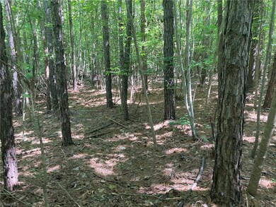 0 Nc Highway 134 N unit 1079012, Star, NC 27375 - photo 4