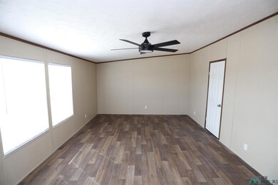 4213 Mimosa St, Carlsbad, NM 88220 - photo 3