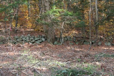 Stone wall rear boundary.