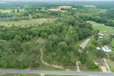 0 13 + - Ac Basin Central Rd, Lucedale, MS 39452 - photo 3
