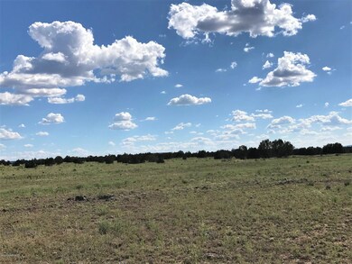 64 E2 Off of Old Hwy 66, Ash Fork, AZ 86320 - photo 3