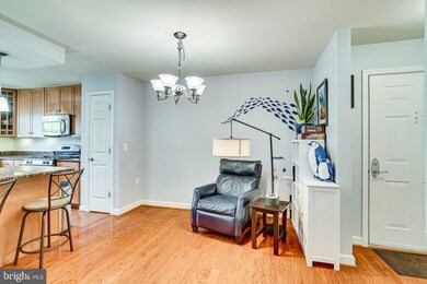 4127 S Four Mile Run Dr unit 204, Arlington, VA 22204 - photo 6