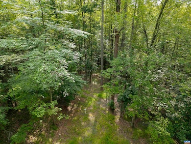 TBD Decca Ln, Charlottesville, VA 22901 - photo 4