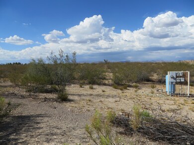 21320 W Vista Royale Dr unit 3, Wickenburg, AZ 85390 - photo 3