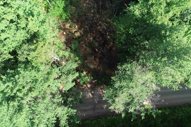 63-11-7 Ossipee Mountain Rd unit 63/11-7, Ossipee, NH 03864 - photo 6