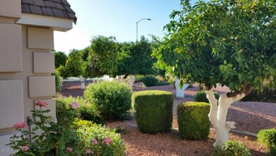 3737 E Palm St, Mesa, AZ 85215 - photo 7