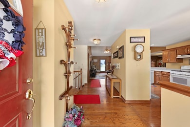 107 Sibley Dr, Minooka, IL 60447 - photo 3