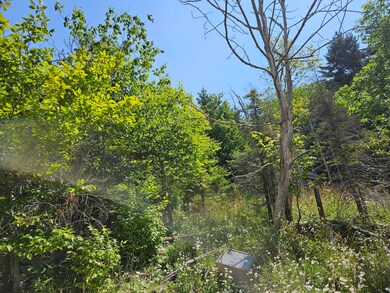1 acre lot
