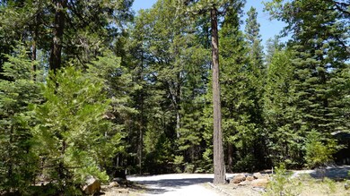 Circular Driveway