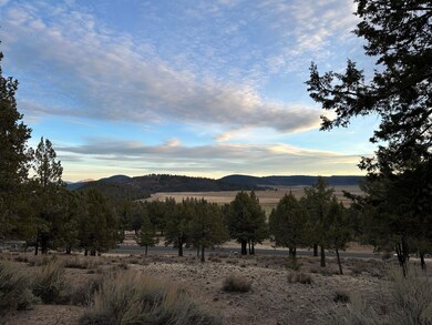 0 Murrelet unit Lot 1192 220174096, Klamath Falls, OR 97601 - photo 4