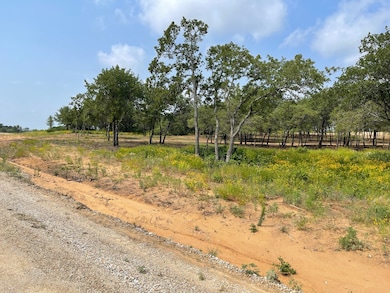 TBD - Lot 88 Blissful Ct, Graford, TX 76449 - photo 2