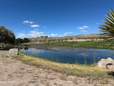 107 Lake View Ln, Elephant Butte, NM 87901 - photo 5