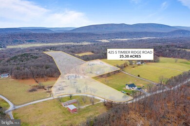 425 S Timber Ridge Rd, Cross Junction, VA 22625 - photo 3