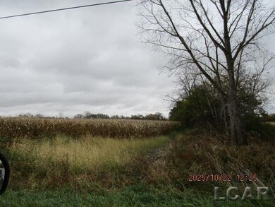 13001 BLK Bartlett Rd, Clinton, MI 49236 - photo 2