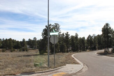 200 W Pine Haven Cir, Show Low, AZ 85901 - photo 5