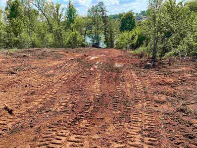 356 Lyman Lake Rd, Lyman, SC 29365 - photo 4