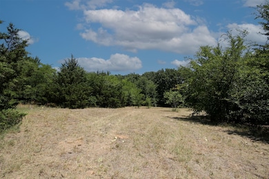 16.72AC Joe Allen Rd, Pilot Point, TX 76258 - photo 7