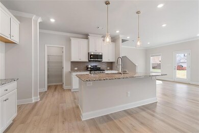 61 Avian Way, Auburn, GA 30011 - photo 5