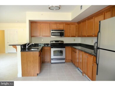 1706 S Plum Point Dr, Exton, PA 19341 - photo 4