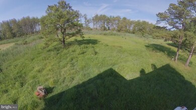 2152 Wingate Bishops Head Rd, Wingate, MD 21675 - photo 3