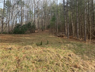 0 Doan Town Rd, Cane River, NC 28714 - photo 3