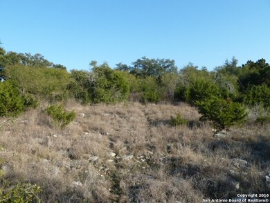 23411 Wilderness Cove, San Antonio, TX 78261 - photo 6