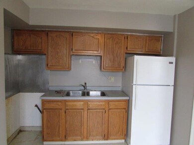 255 N Spring St unit 6, Elgin, IL 60120 - photo 3