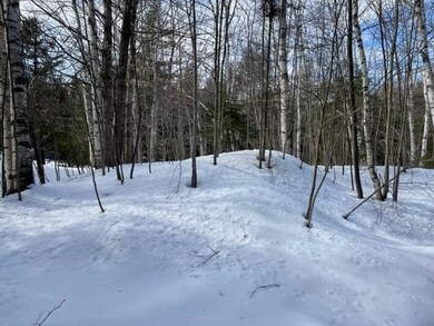 341 Chapel Hill Rd, Whitingham, VT 05361 - photo 3