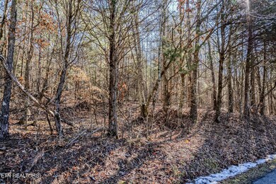 5 acres S Nopone Valley Rd, Decatur, TN 37322 - photo 4