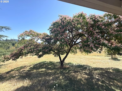 336 Schudeiske Rd, Sutherlin, OR 97479 - photo 5