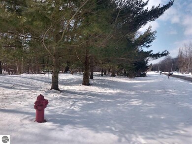 4220 E Anne St, Au Gres, MI 48703 - photo 2