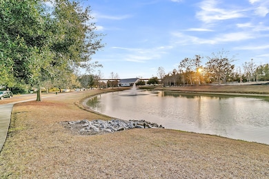 Pond Across The Street