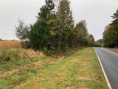 4955 Waynick Meadow Rd, Asheboro, NC 27205 - photo 4