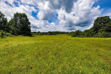 0 Scenic Ln unit LotWP001 24246943, Horse Branch, KY 42349 - photo 5