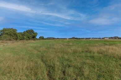 00 Ceniza Ln, Fredericksburg, TX 78624 - photo 7