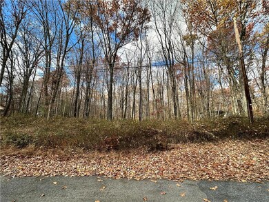 0 Chestnut Lot W076 Dr unit 726492, Towamensing Township, PA 18235 - photo 5