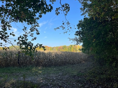 0 W Saint Joseph St, Lawrence, MI 49064 - photo 2